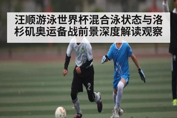 汪顺游泳世界杯混合泳状态与洛杉矶奥运备战前景深度解读观察（DOTA2）